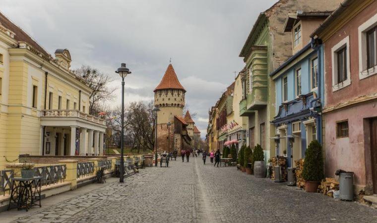 Old Town Cozy Nest Leilighet Sibiu Eksteriør bilde